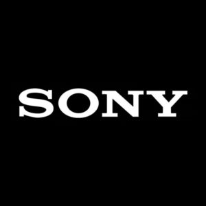 Sony Bridge Cameras
